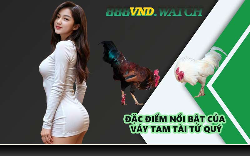 Đặc điểm nổi bật của vảy tam tài tứ quý
