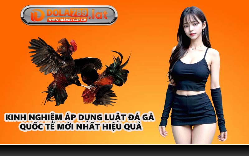 Kinh nghiệm áp dụng luật đá gà quốc tế mới nhất hiệu quả