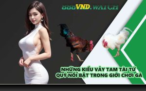 Những kiểu vảy tam tài tứ quý nổi bật trong giới chơi gà