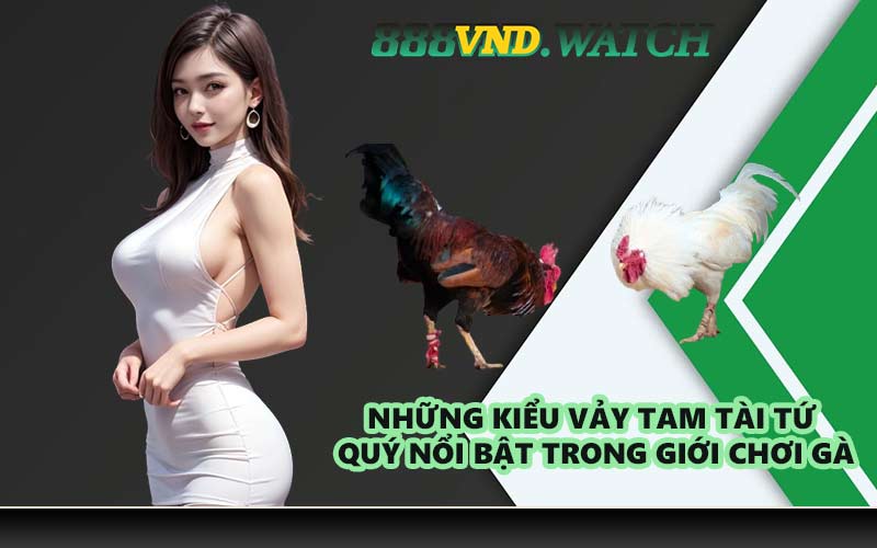 Những kiểu vảy tam tài tứ quý nổi bật trong giới chơi gà