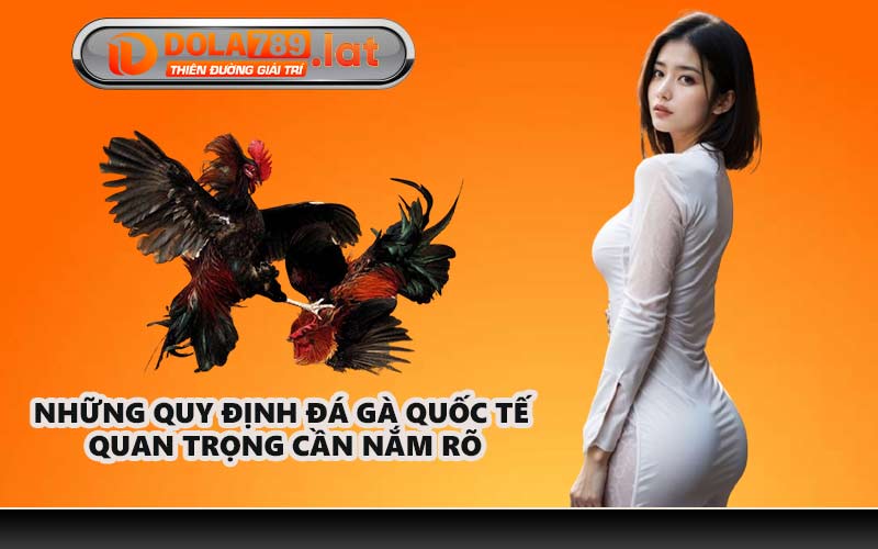 Những quy định đá gà quốc tế quan trọng cần nắm rõ